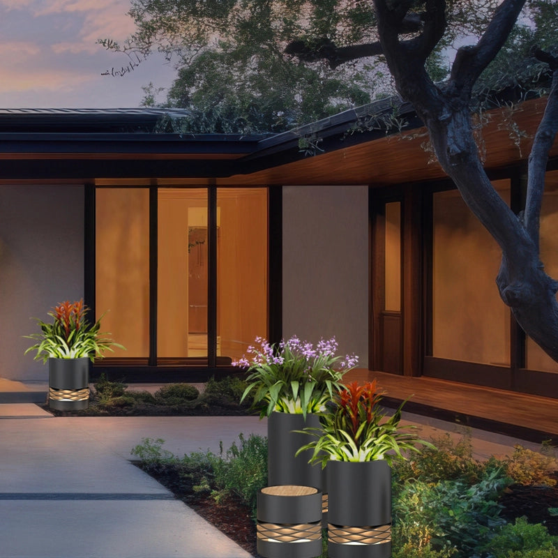 A modern-style house with several pots of decorative plants in the courtyard outside the house. Some of the plants are decorated with lights, adding a warm atmosphere. There are also trees and green plants in the courtyard, making the overall environment comfortable and beautiful.