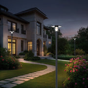 Vertex Pathway Light 3